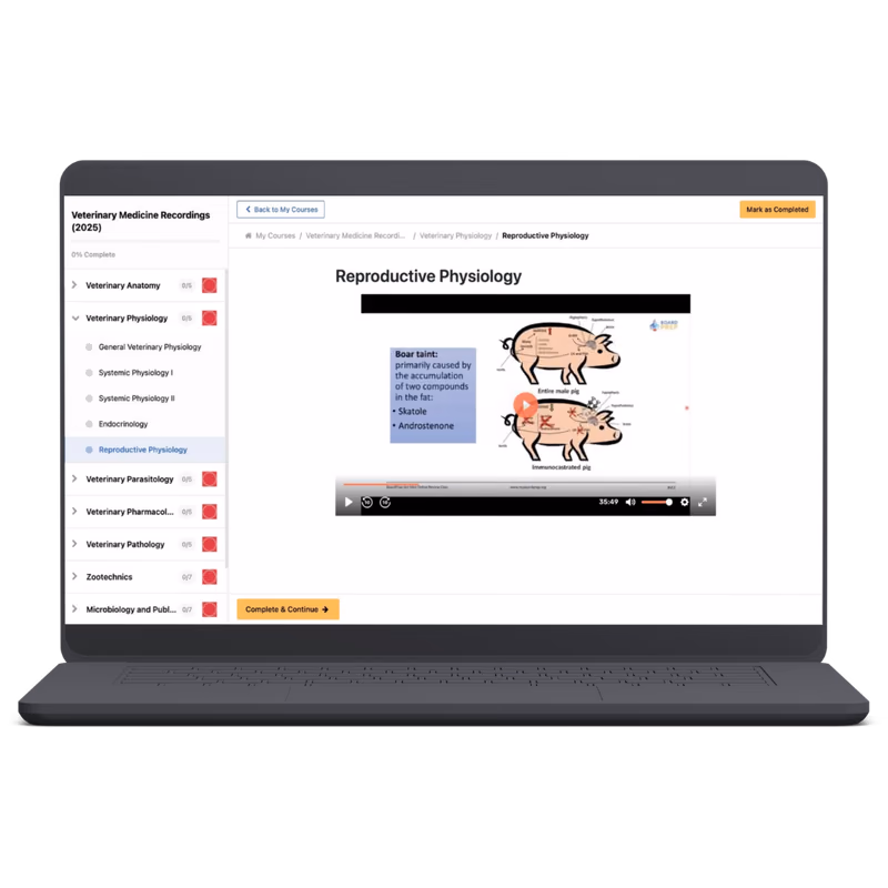 BoardPrep Classroom student veterinary physiology lesson